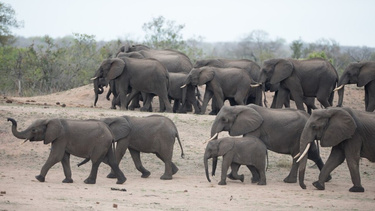 В рамках исследовательского проекта, проведенно...