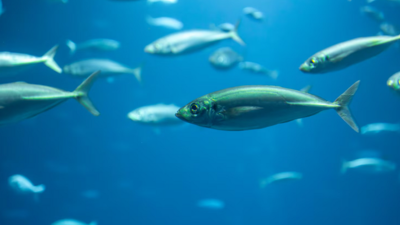 Недавно в журнале Science Advances были опублик...