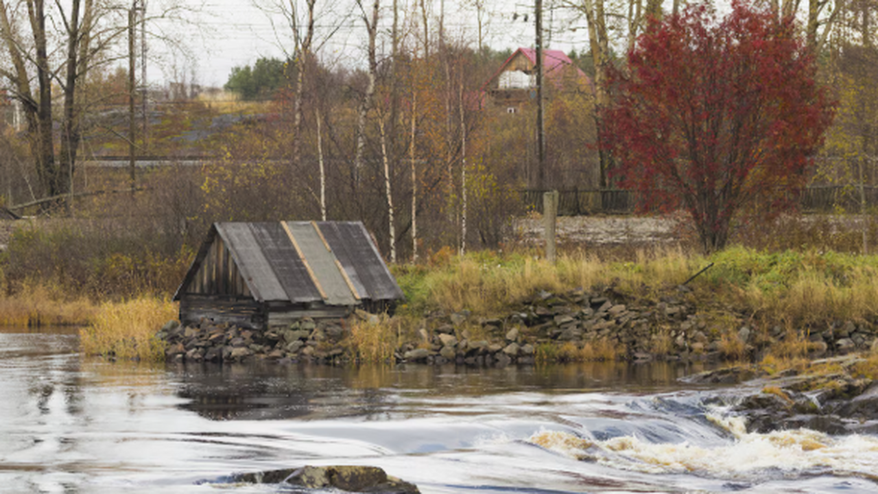 Определена дата достижения максимального уровня...