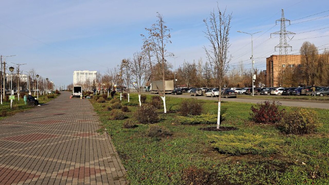 В Самаре приступили к дополнительному озеленени...