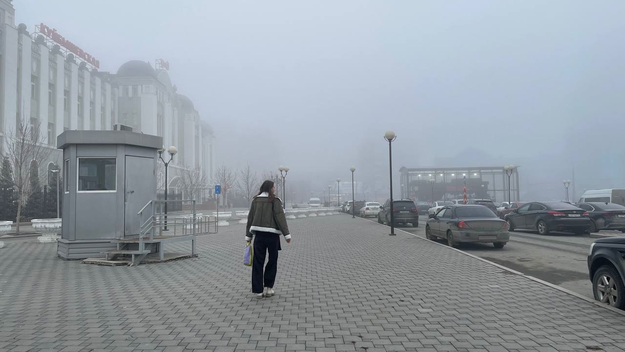 В течение нескольких дней на территорию самарск...