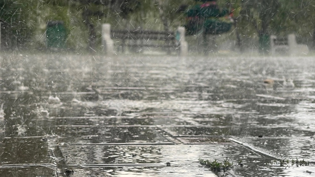 Придут дожди и потом сразу ударят заморозки: синоптик Вильфанд предупредил россиян о резком похолодании в ближайшее время Похолодание в Москве: прогноз погоды на неделю ...