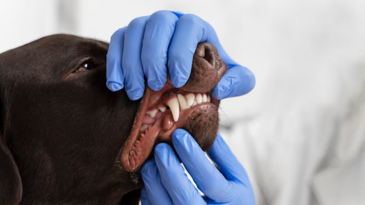 С 20 января текущего года в Красноглинском райо...