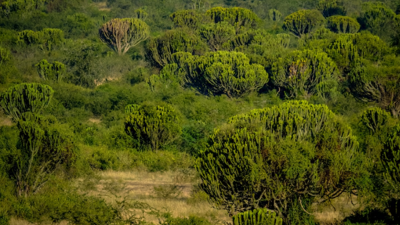 Международная группа исследователей выявила кри...