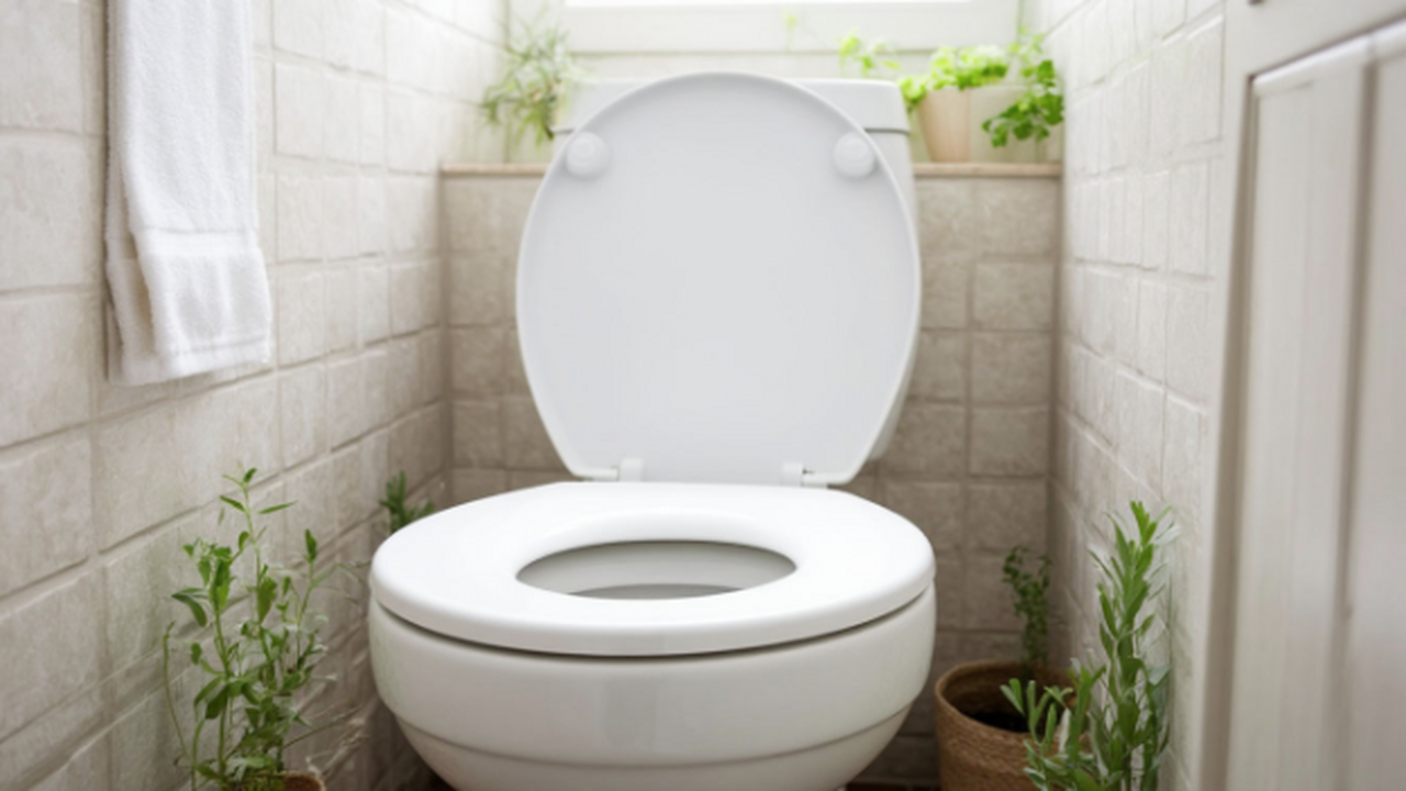 Экологичный и экономный лайфхак: как превратить...