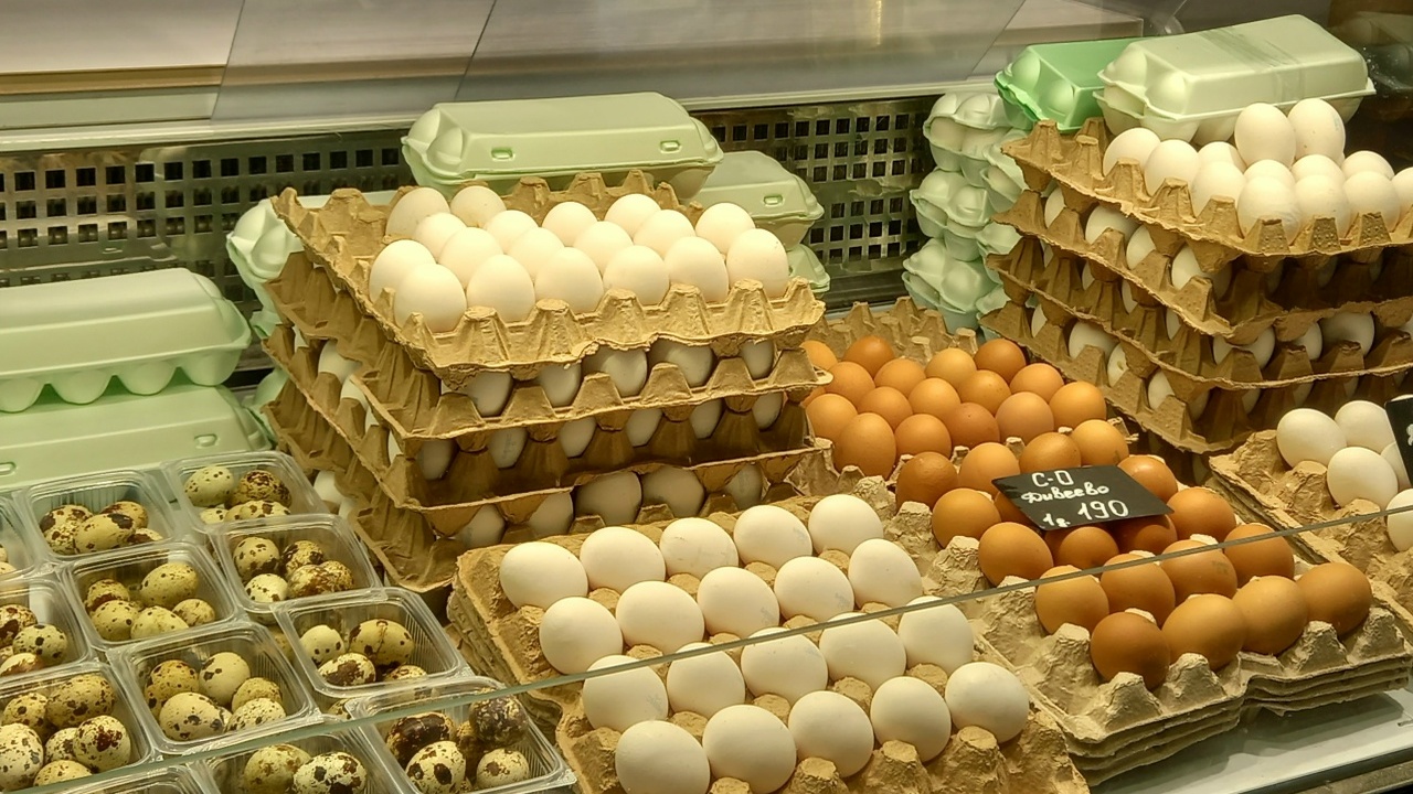 Не спешите выбрасывать картонные яичные лотки —...