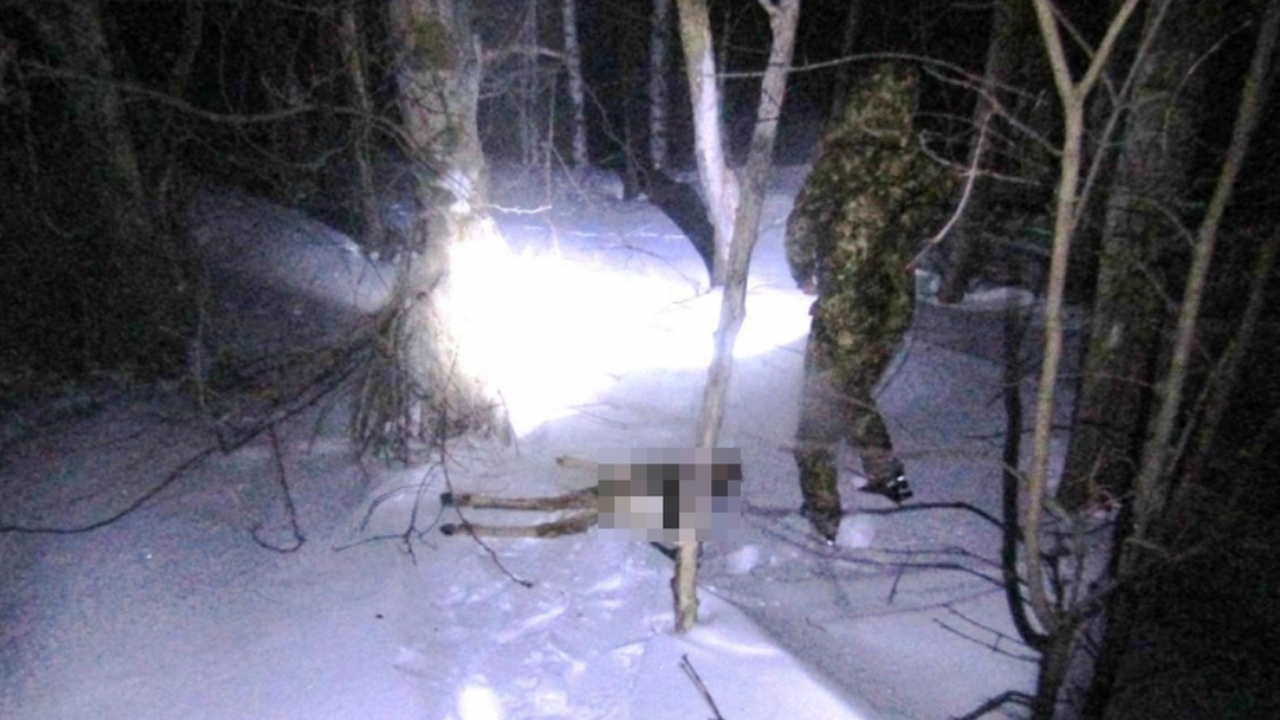 В ночное время, когда сотрудники дорожно-патрул...