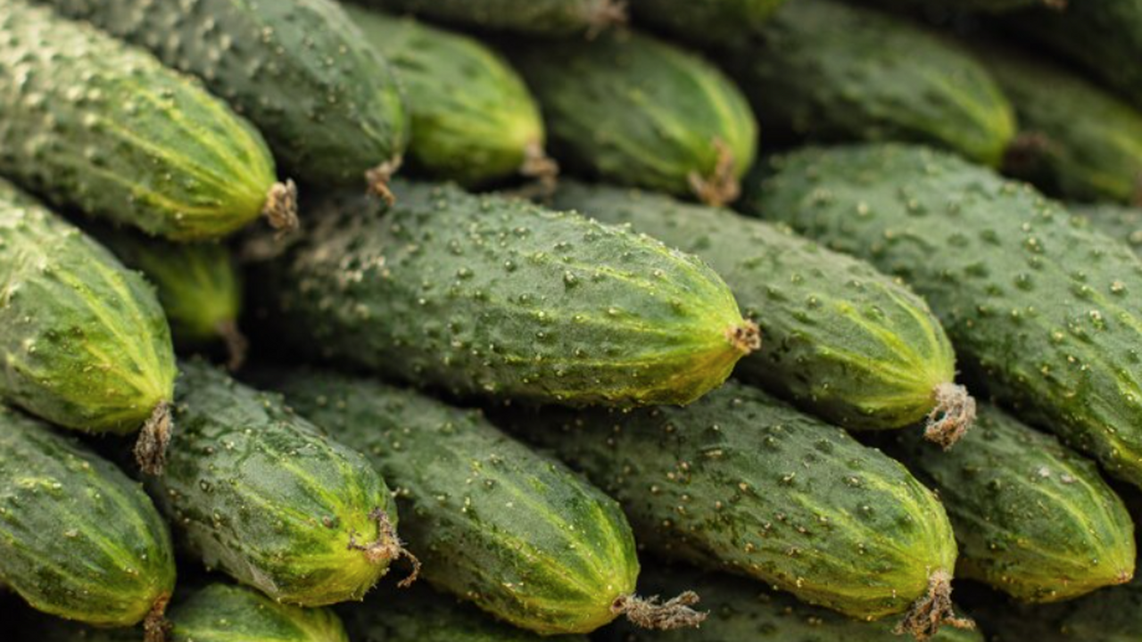 Анализ причин рекордного роста цен на огурцы в ...