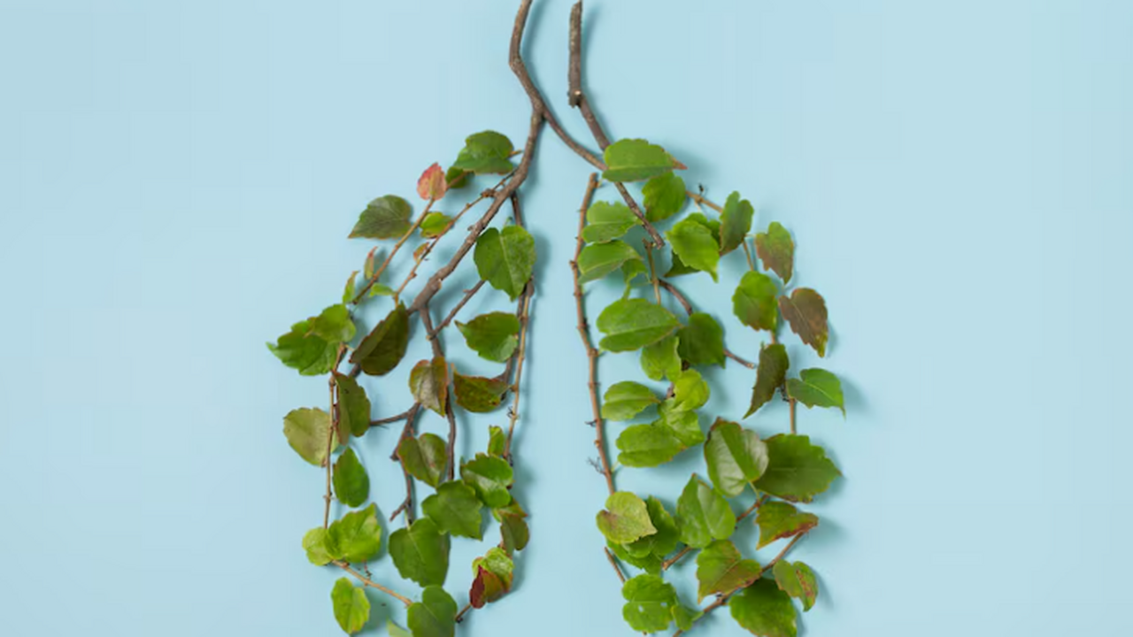 Швейцарская высшая техническая школа Цюриха воз...