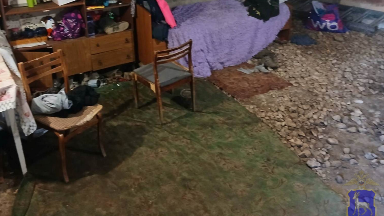 В Самарской области полицейские раскрыли кражу ноутбука В дежурную часть отдела полиции по городу Жигул...