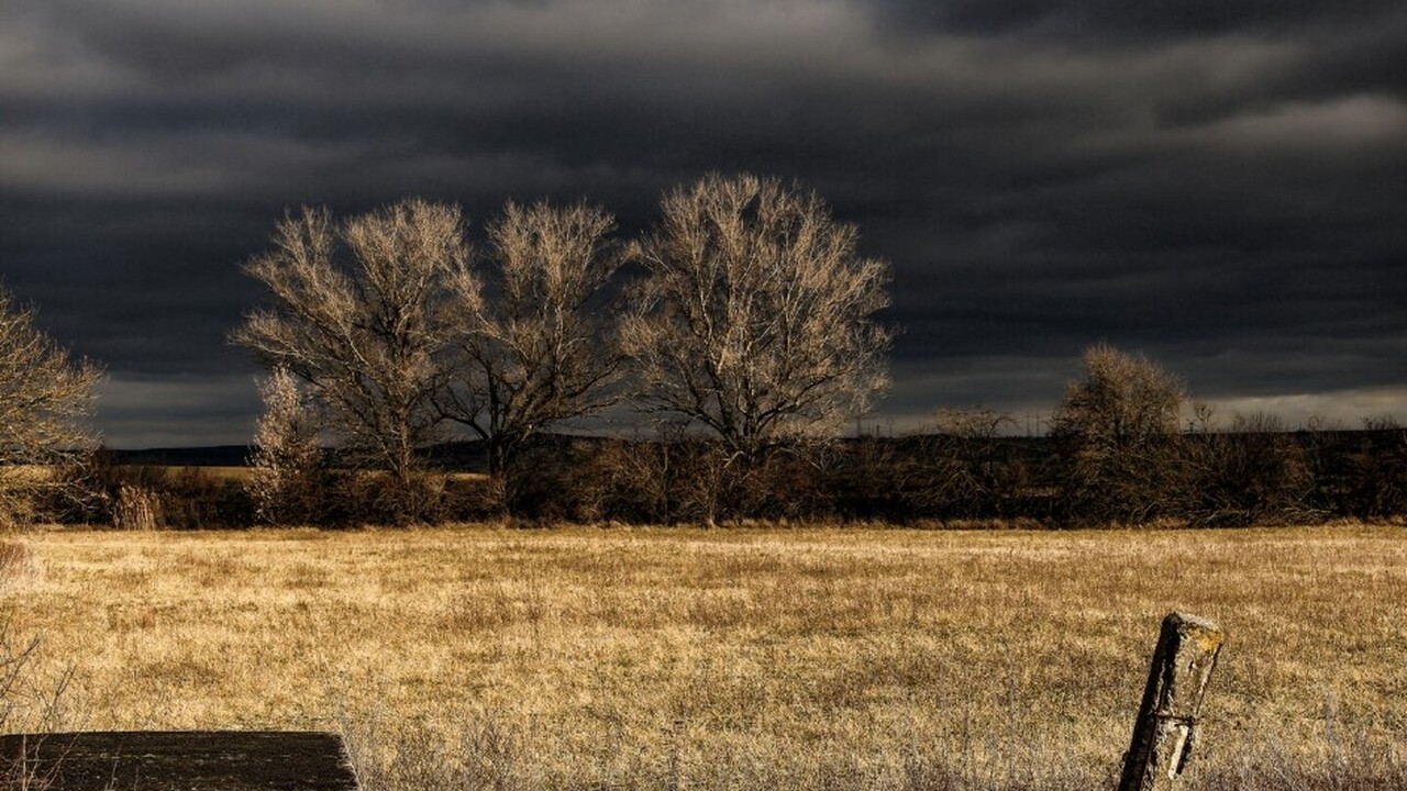 В Калужской области начали применять ИИ для обнаружения заброшенных земель В Калужской области внедрена передовая система ...