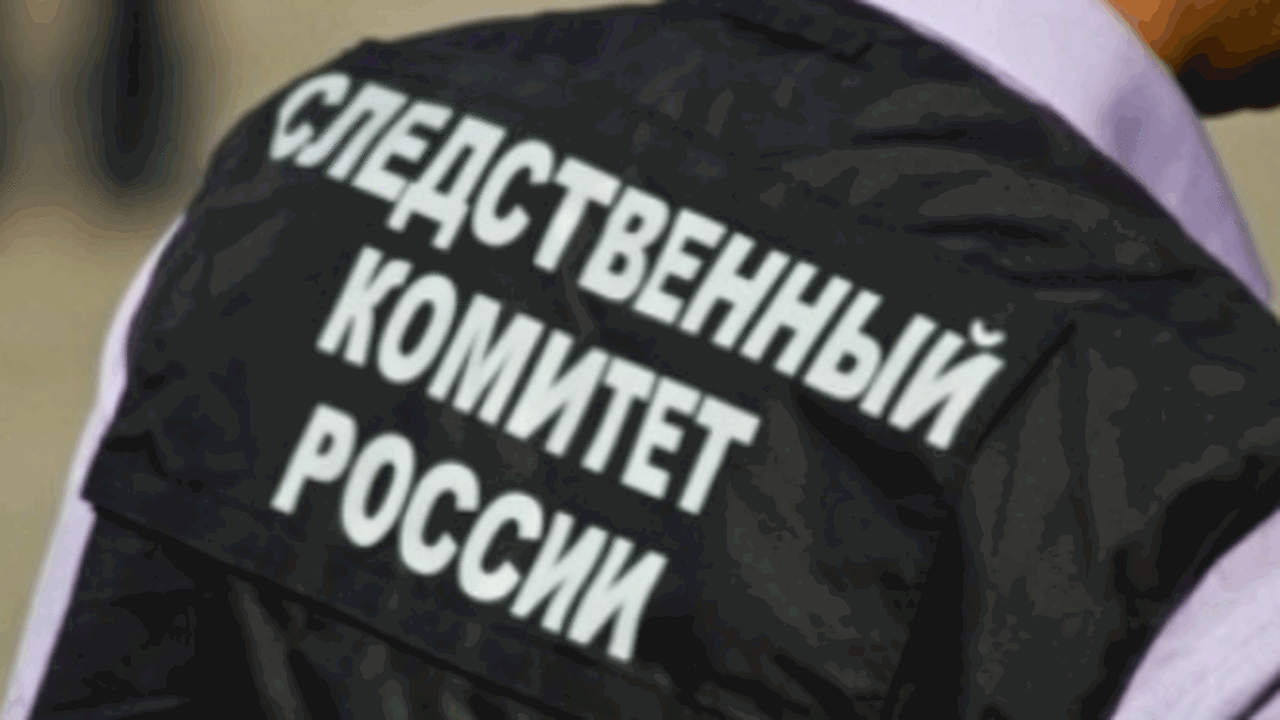 Александр Бастрыкин, возглавляющий Следственный...