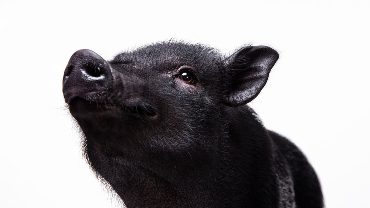 Журнал Nature обнародовал результаты новаторско...