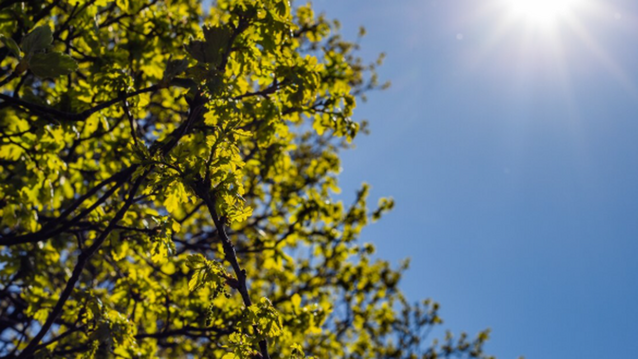 К 9 мая 2023 года в Самаре прогнозируется улучш...