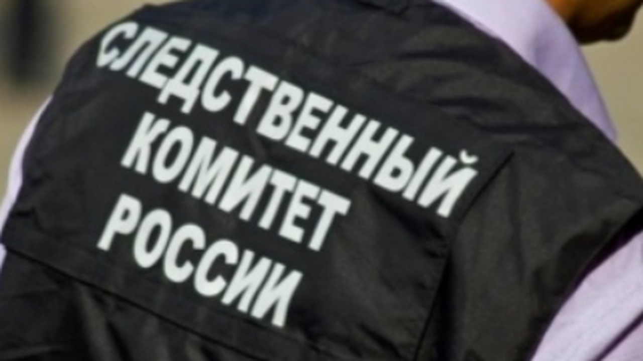После драки в одной из школ Тольятти возбудили уголовное дело В Тольятти после инцидента в одной из школ нача...