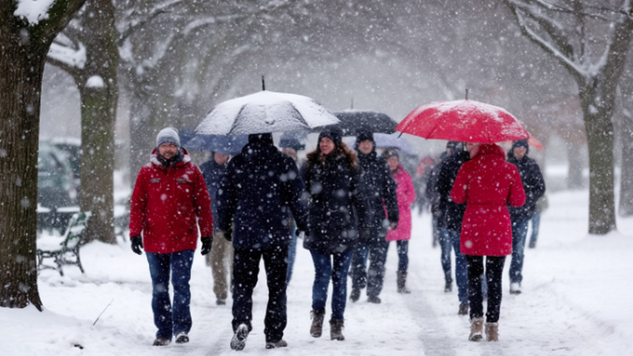 Вильфанд предупредил Москву: декабря не будет! ...