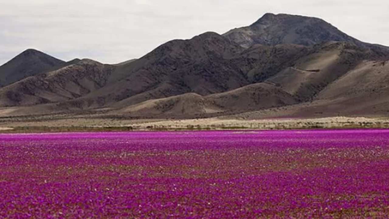 Современные биологические исследования демонстр...