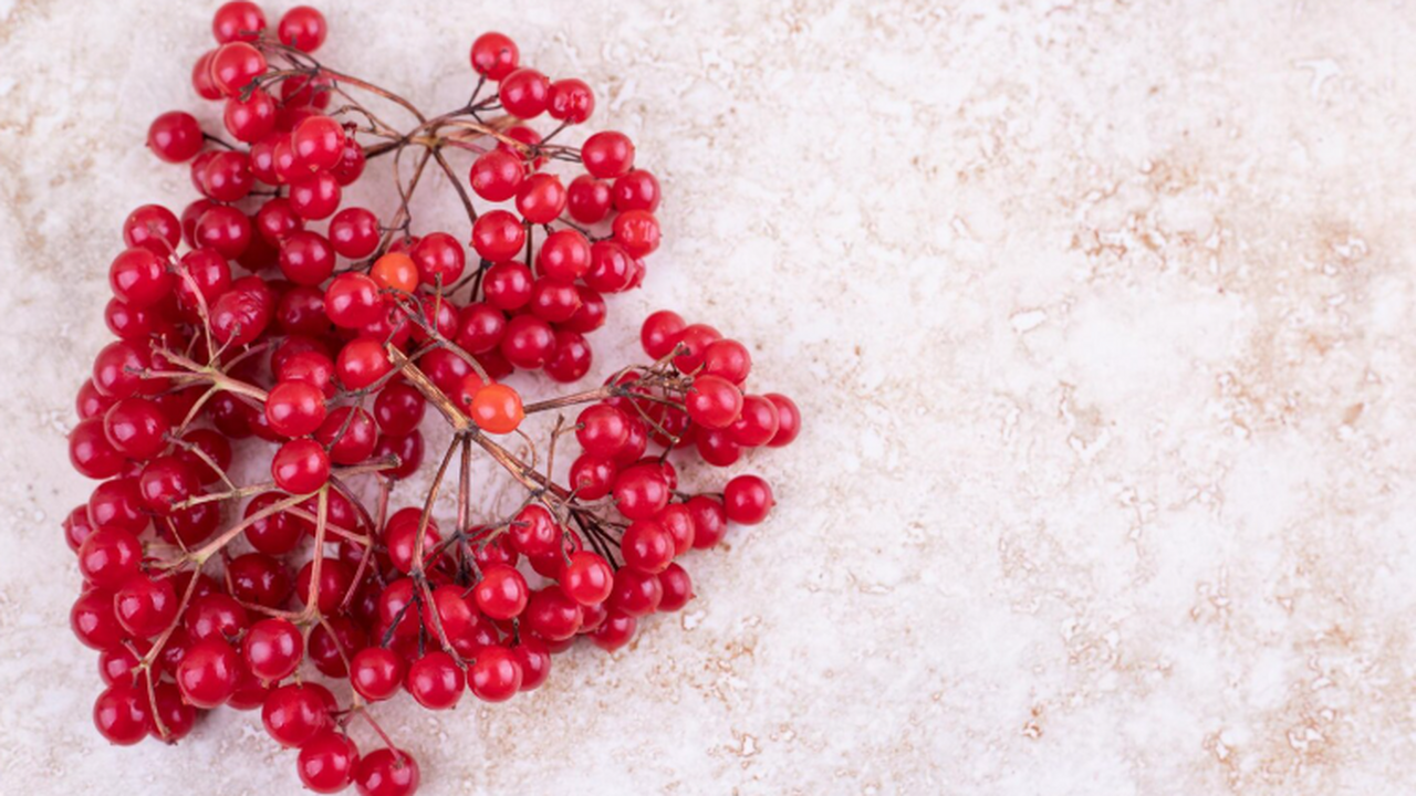 Институт истории материальной культуры РАН пред...