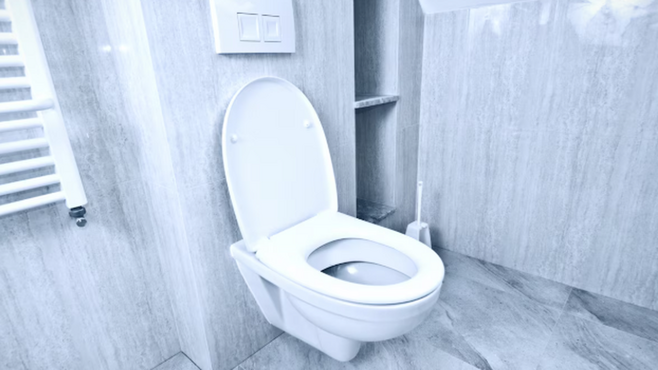 Представьте: ваш унитаз превращается в заботлив...