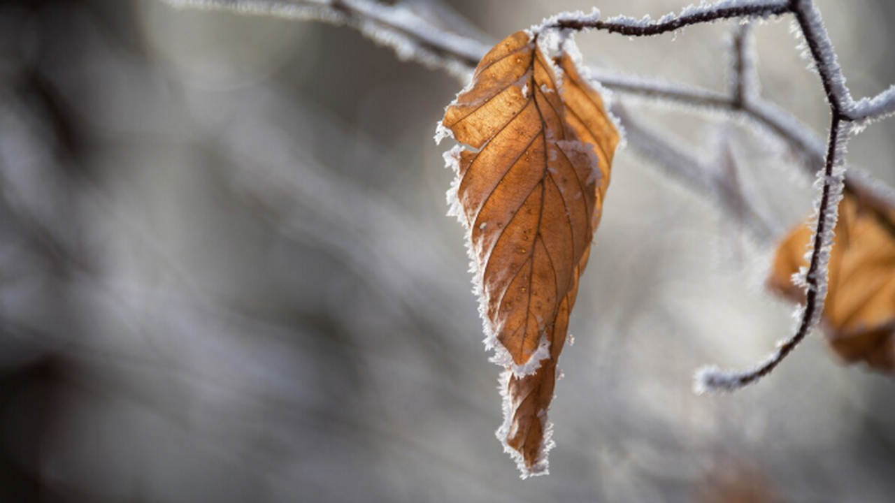 Аномальные метеорологические условия зимнего пе...
