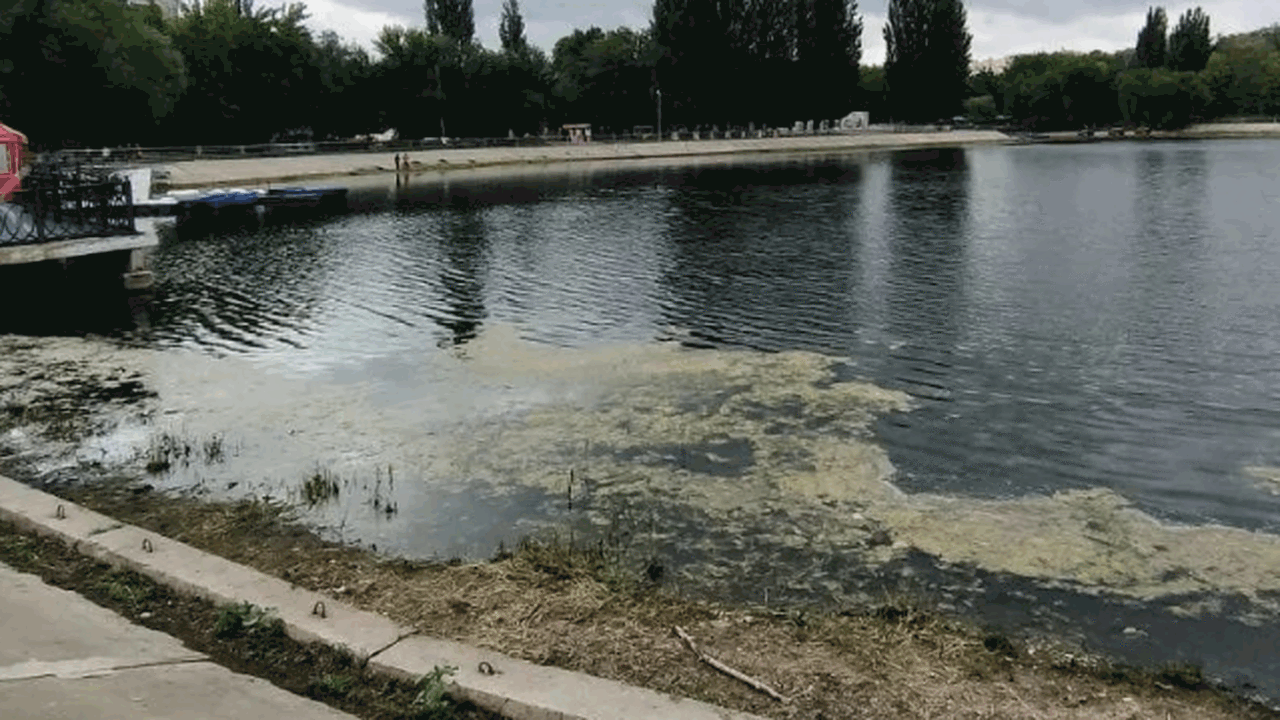 В Самаре стартовала масштабная экологическая ак...