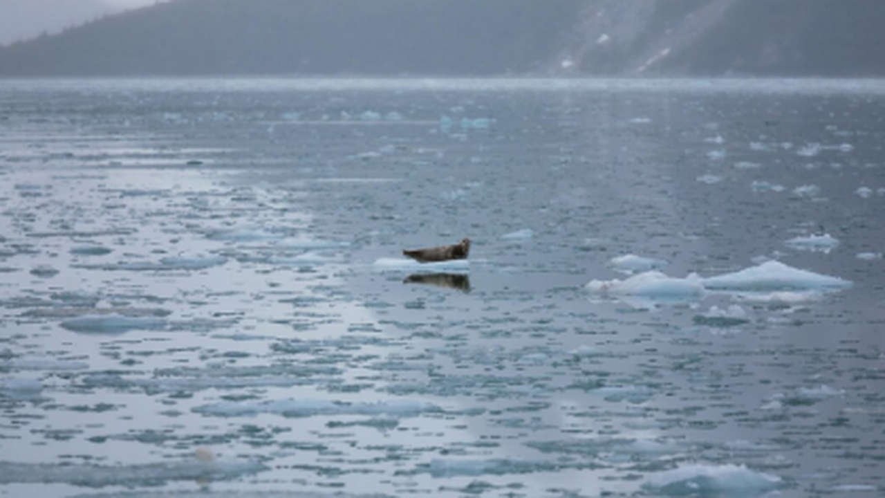 В период с 19 августа текущего года молодые уче...