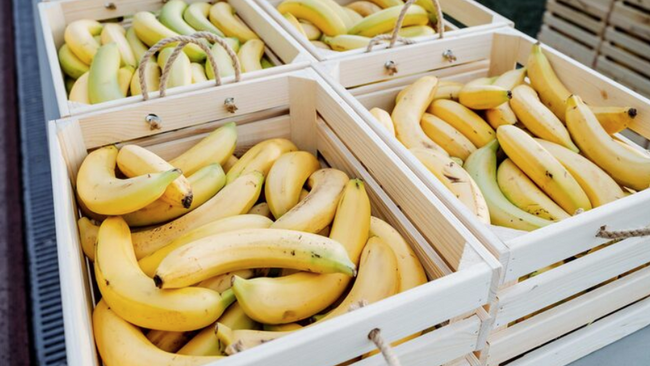 Этилен и фрешеры: как продлить срок хранения ба...