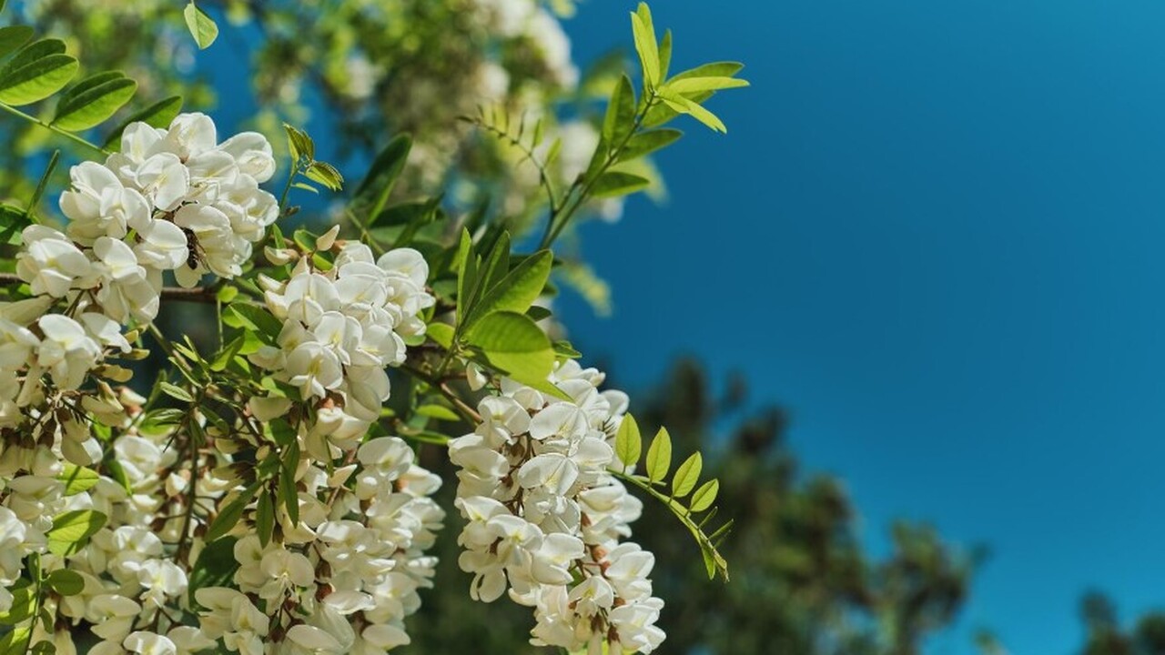 Константин Ефетов, заведующий кафедрой биохимии...