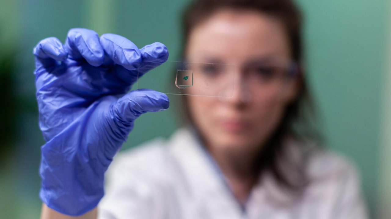 Итальянские ученые осуществили молекулярно-гене...