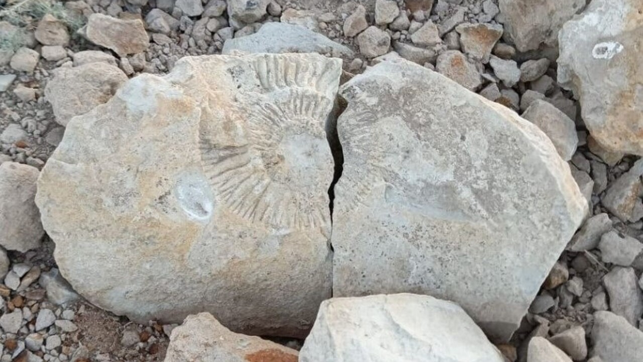 В Волгоградской области, в ходе научной экспеди...