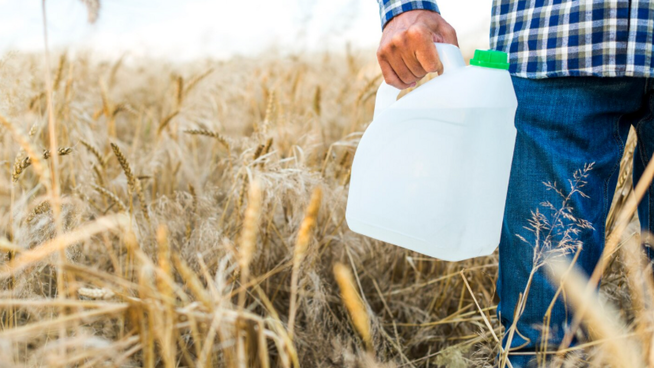 Пестициды занимают второе место среди факторов,...