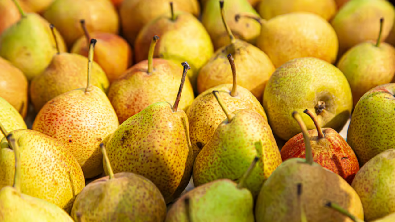 Топ-5 самоплодных сортов груш для обильного уро...