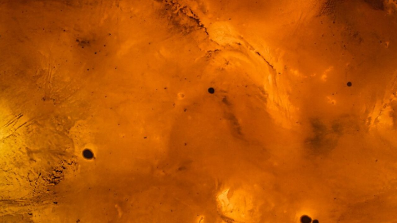 Немецкие исследователи из Йенского университета...