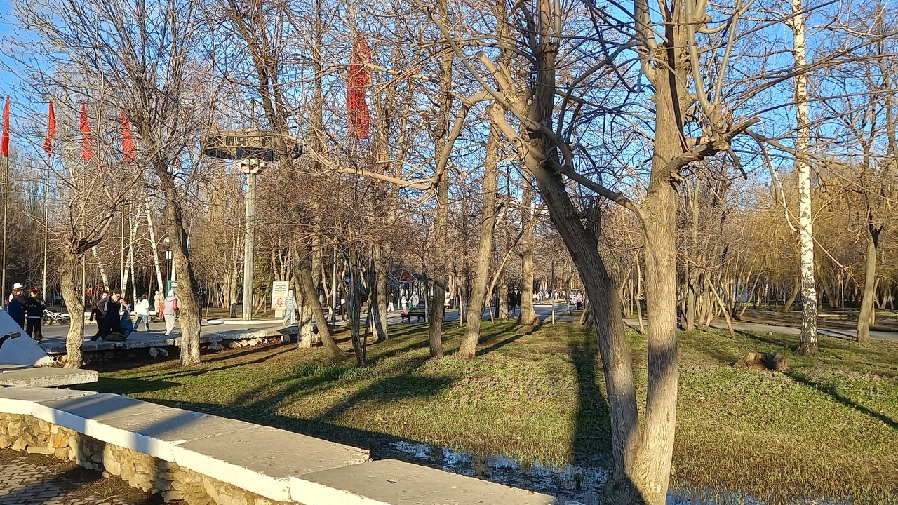 Депутат Дмитрий Асеев предоставил информацию о ...
