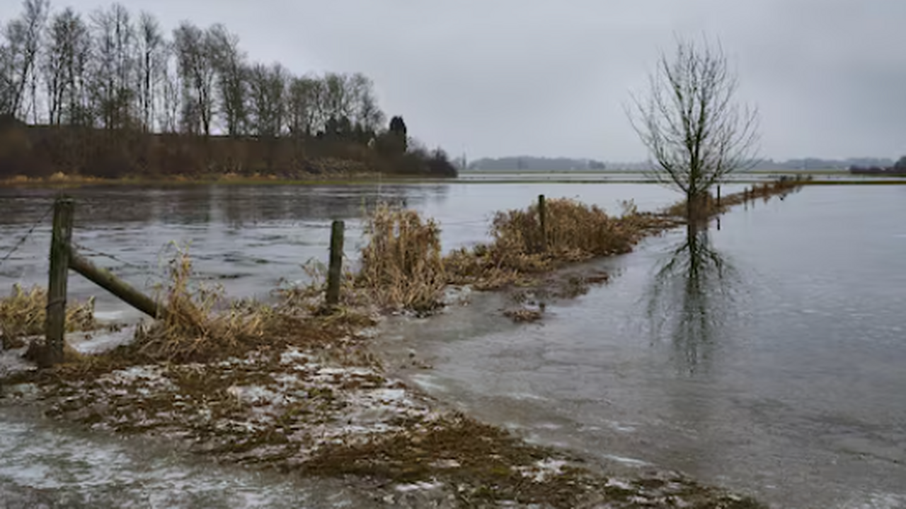 С 13 апреля в Самаре введен режим повышенной готовности из-за паводка на Волге С 13 апреля в Самаре был введен режим повышенно...