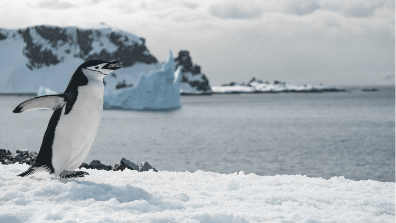Радионуклиды, появившиеся в результате аварии н...