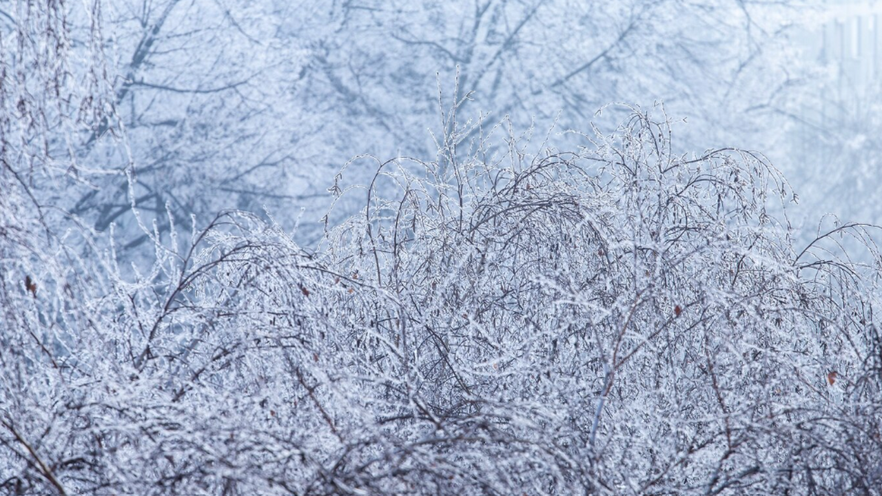 В предстоящие выходные в этом регионе ожидается...