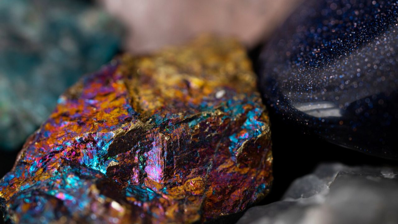 Ученые из Санкт-Петербургского государственного...