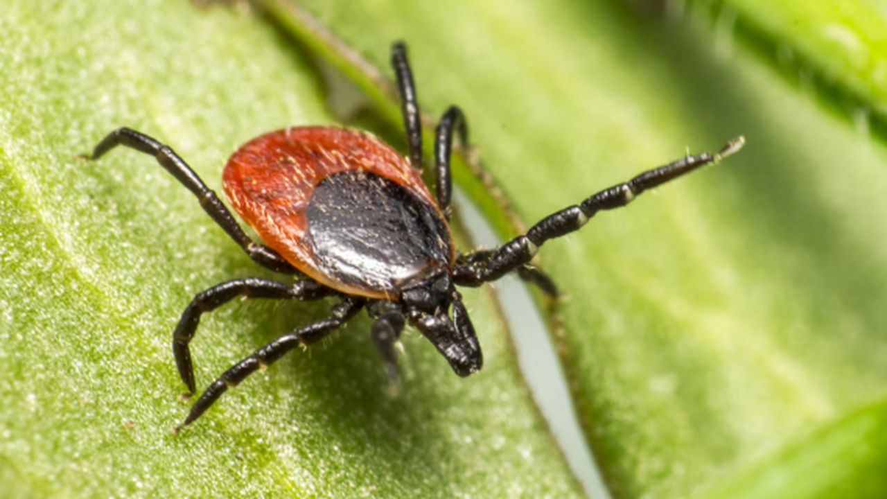 В период с 13 по 19 апреля текущего года на тер...