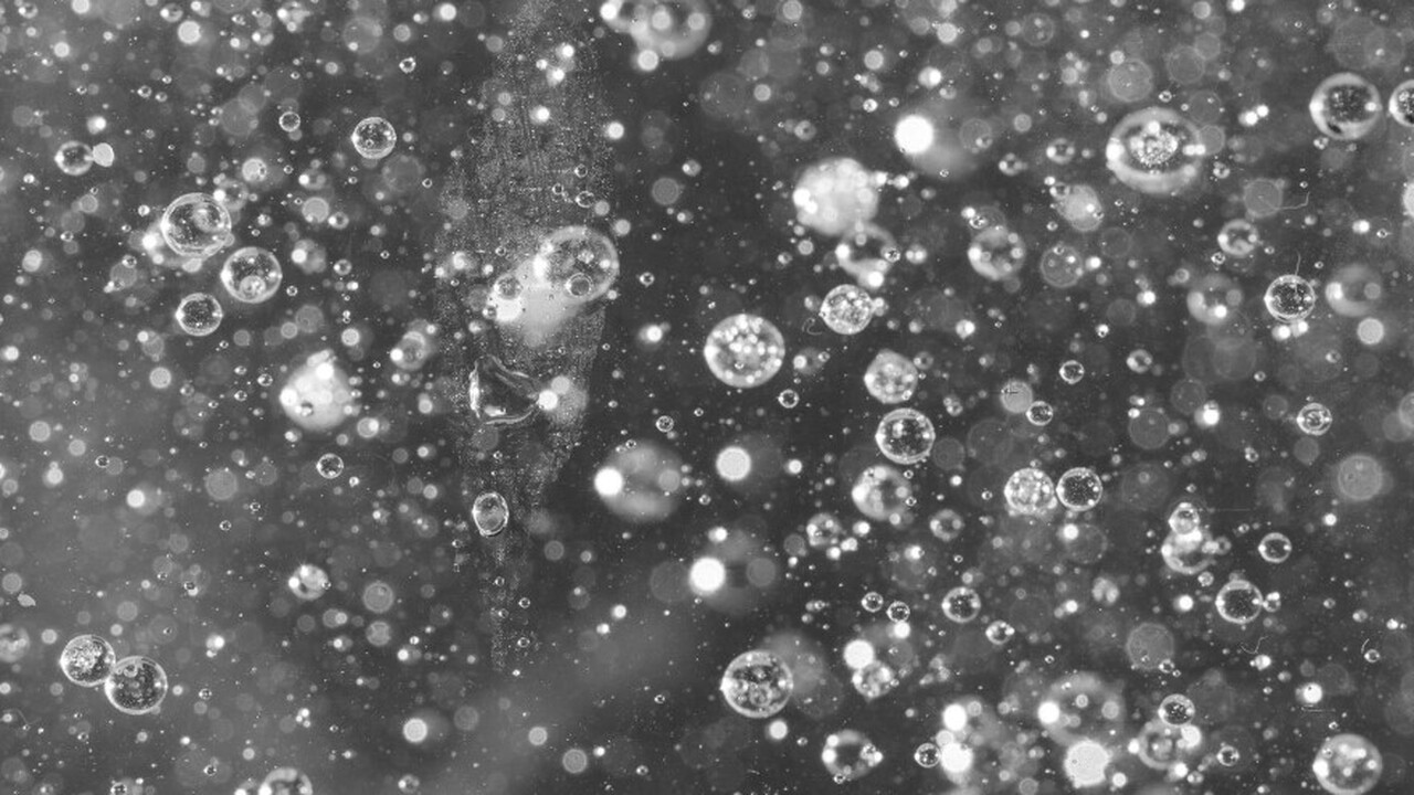 В провинции Онтарио, Канада, в ходе комплексног...