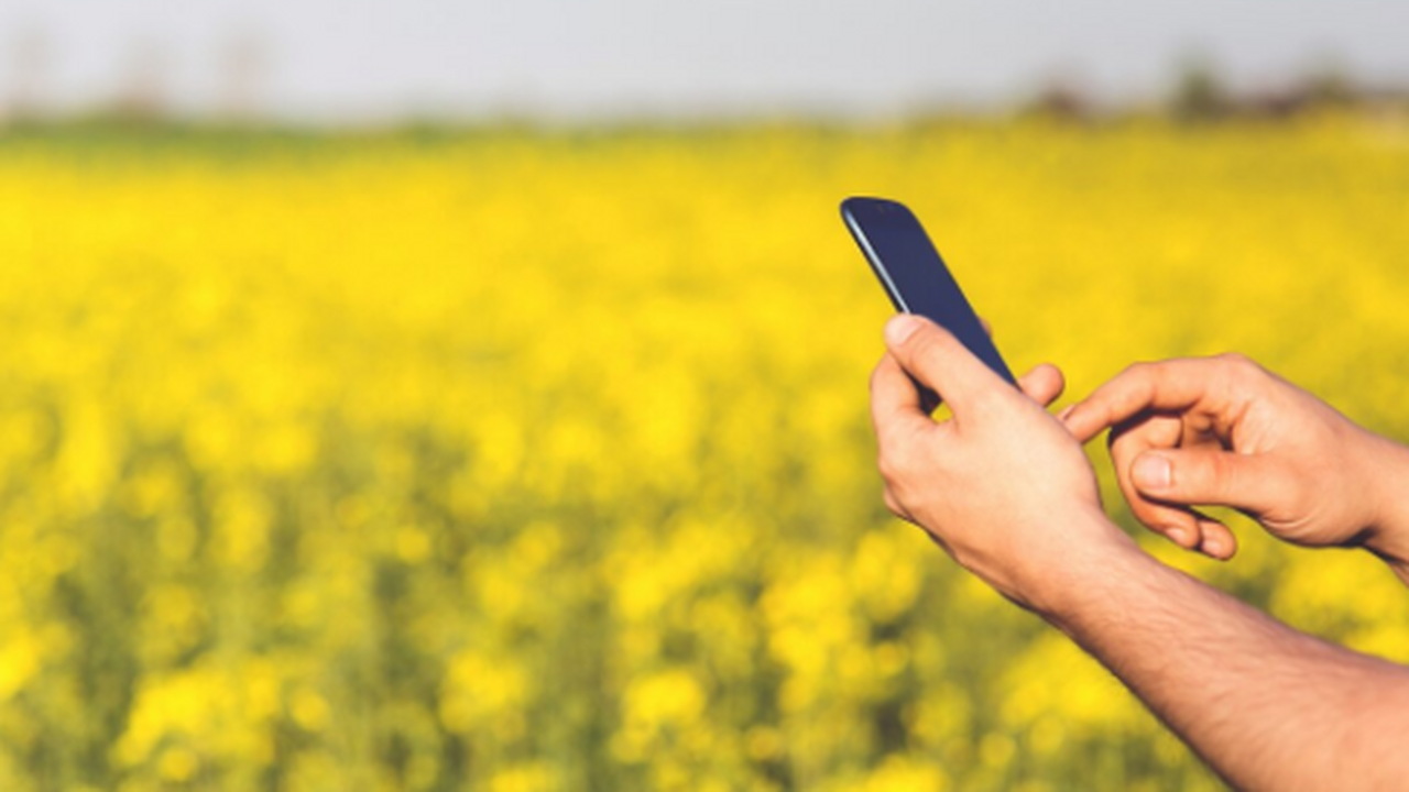 В Томской области более 8 тысяч человек стали л...
