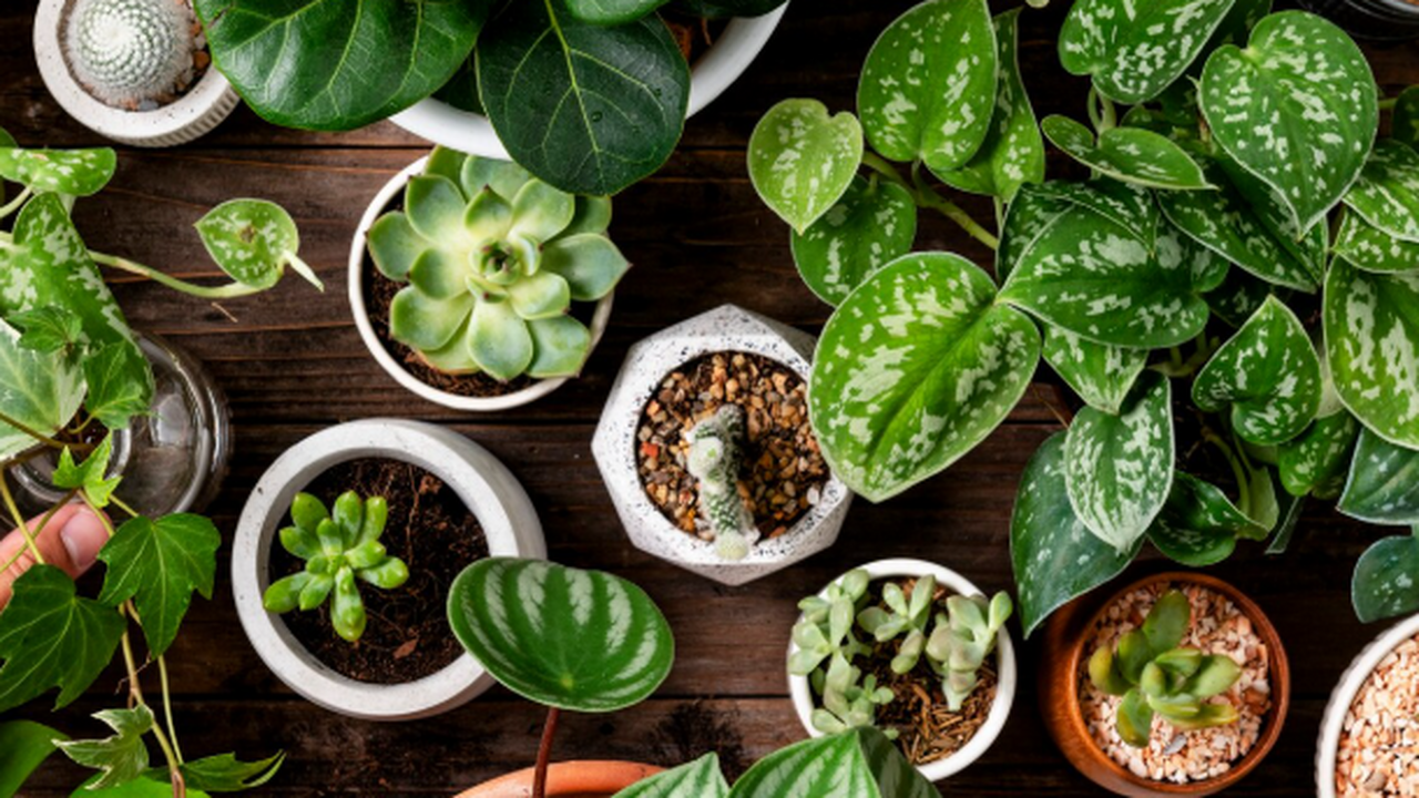 Биологи из колледжа Вильгельма и Марии провели ...