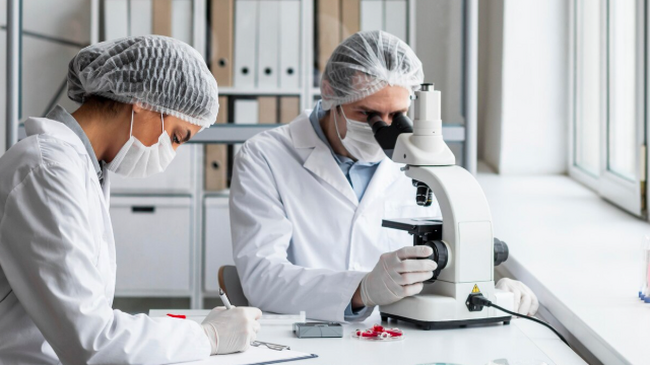 В Кубанском государственном аграрном университе...