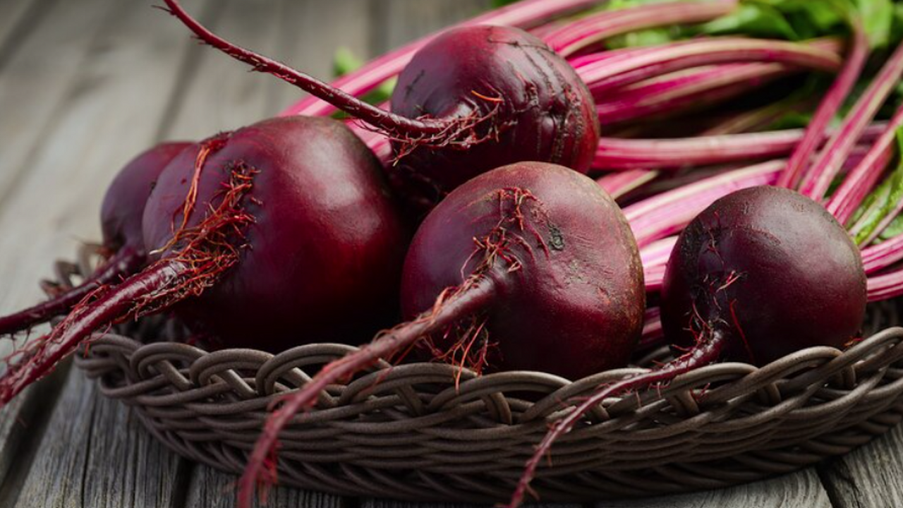 Свёкла сорта «Цилиндра»: идеальный выбор для ог...