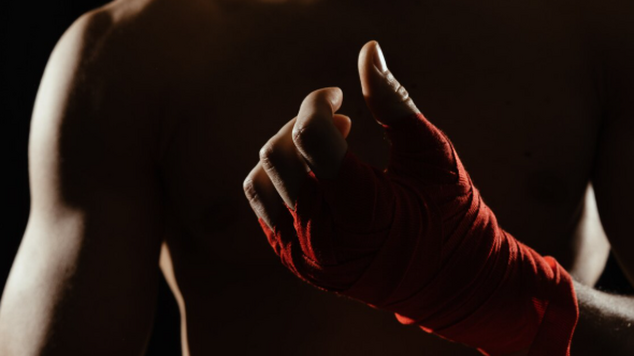 Президент Федерации современного панкратиона Дм...