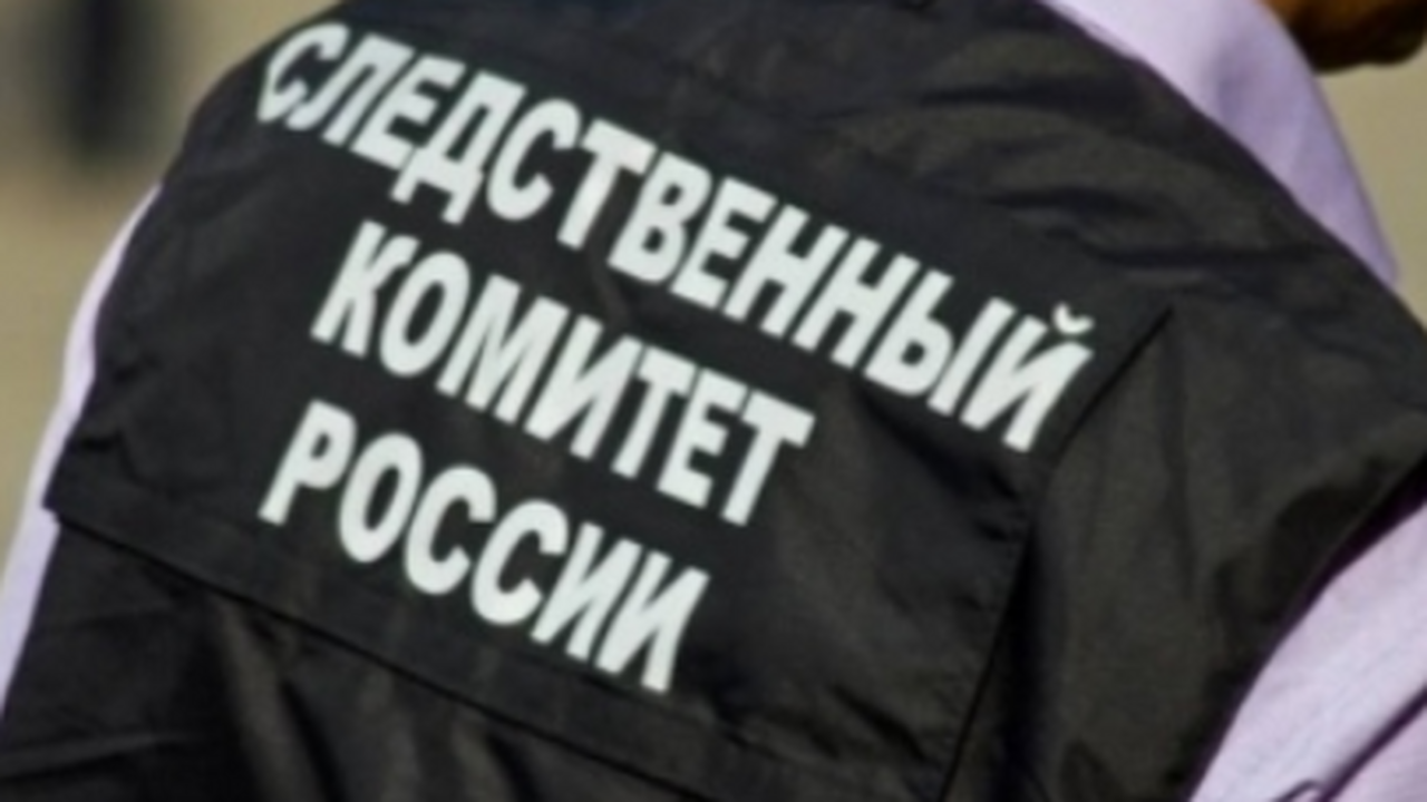 Бастрыкин запросил доклад по делу об избиении школьника в Самарской области Александр Бастрыкин, Председатель Следственного...