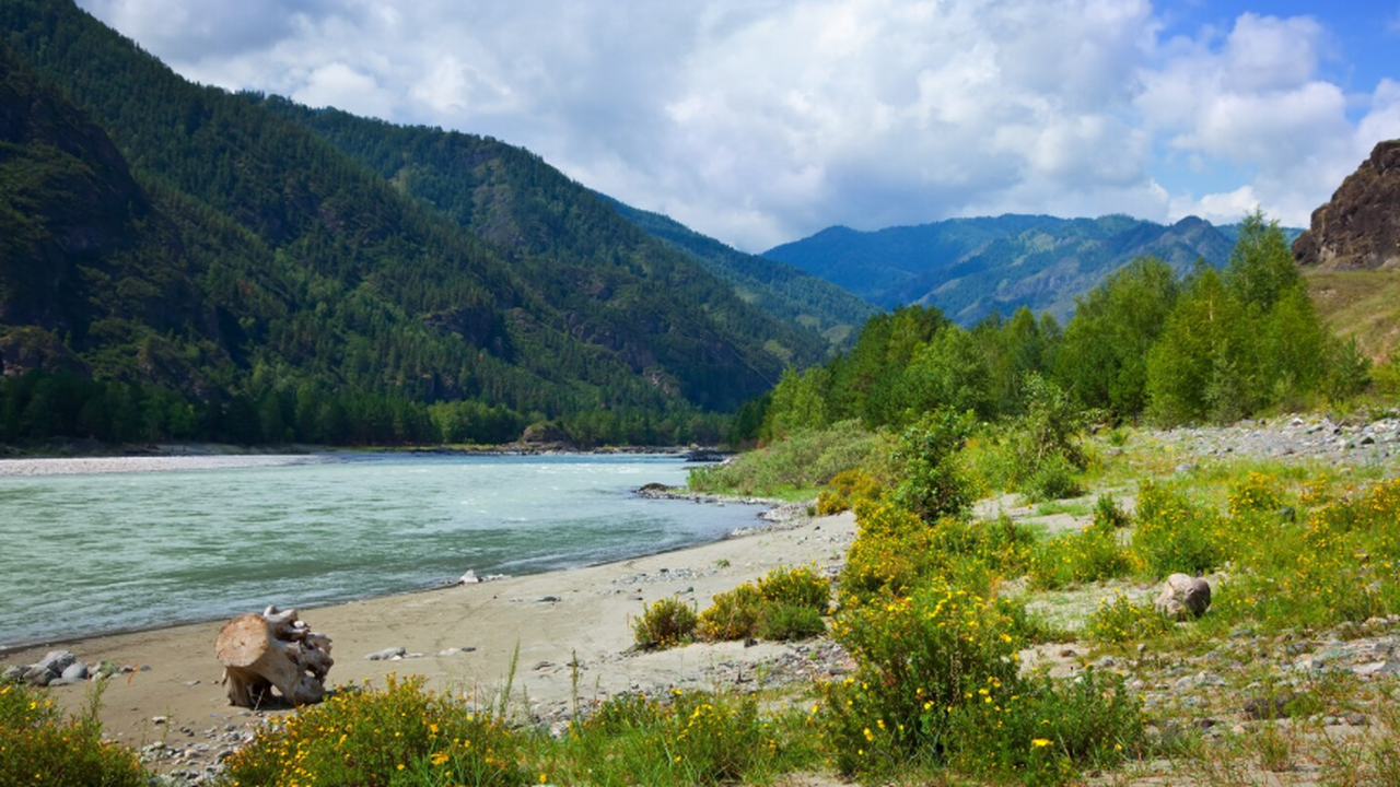 Отзывы об Абхазии: стоит ли ехать? Анализ пробл...