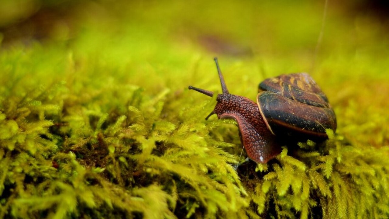 С 1994 года Прокопий Ноговицын, выдающийся педа...