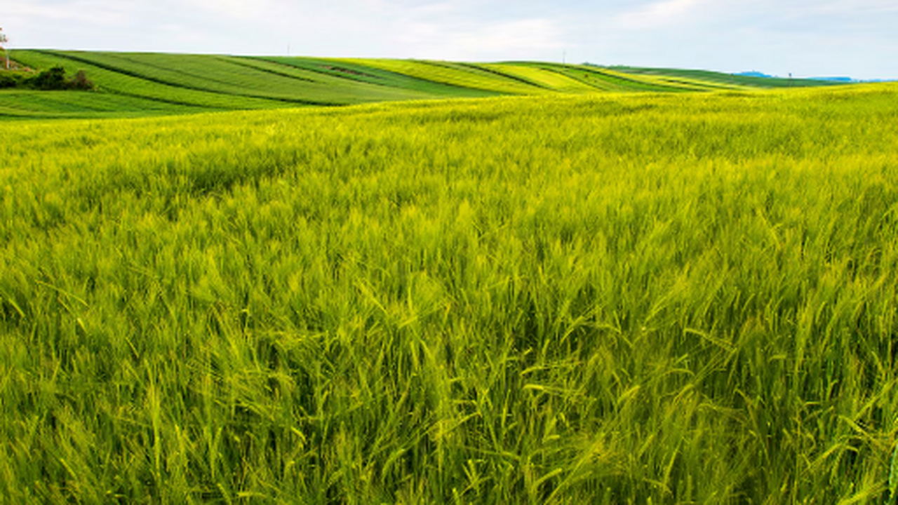 Кинельская межрайонная прокуратура Самарской об...