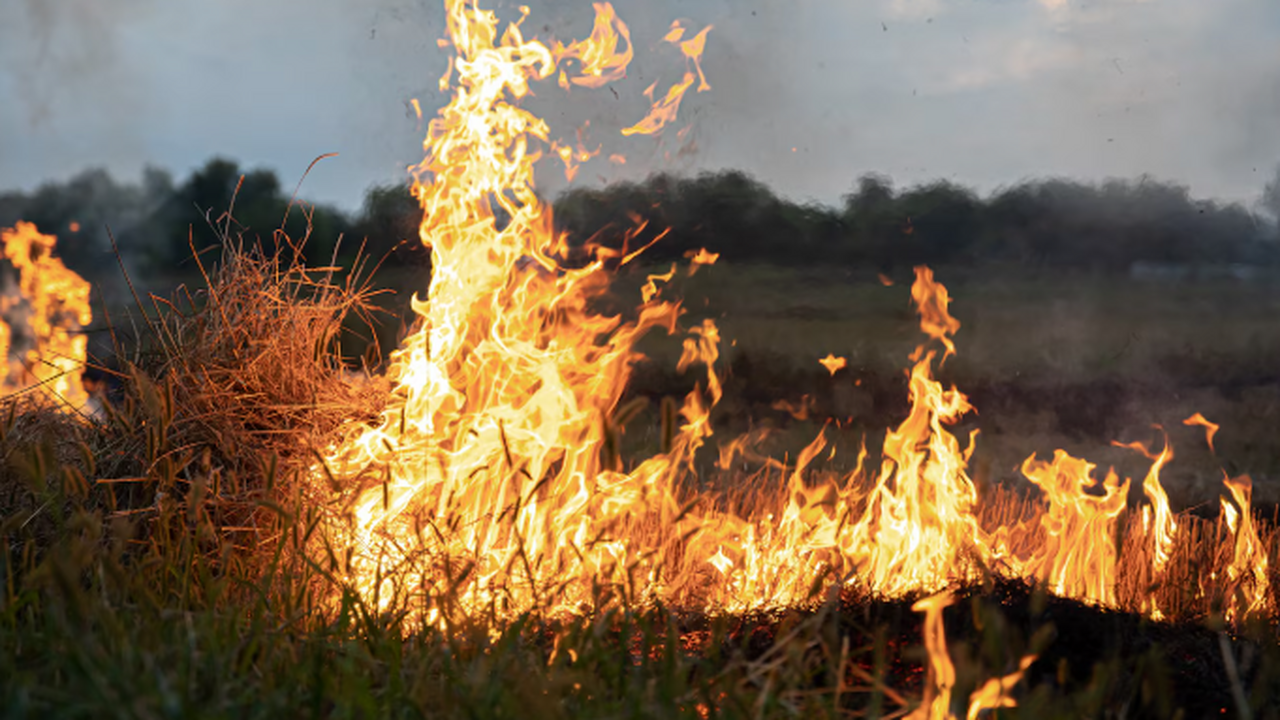 Власти Самары намерены усилить меры пожарной бе...